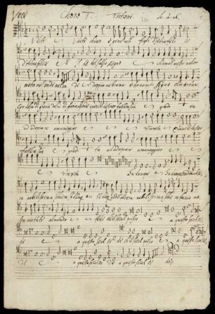 Voce (Tenor 2)