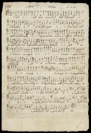 Voce (Tenor 2)