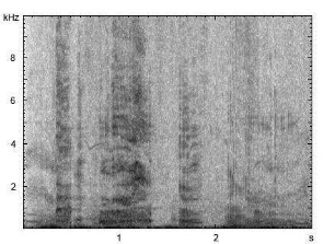 Hausschwein | Sus scrofa f. domestica - Ruf