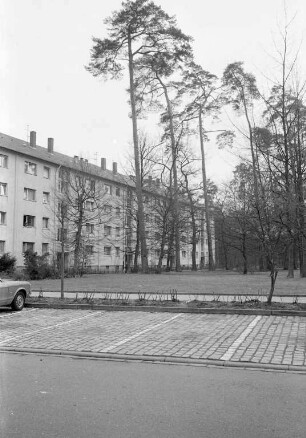 Planungen des Gartenbauamts zur Fällung von Kiefern in der Insterburger Straße in der Waldstadt