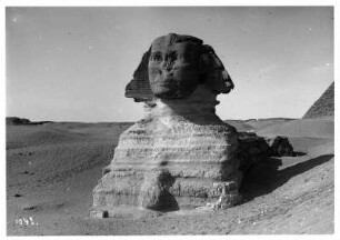 Gizeh (Ägypten). Sphinx