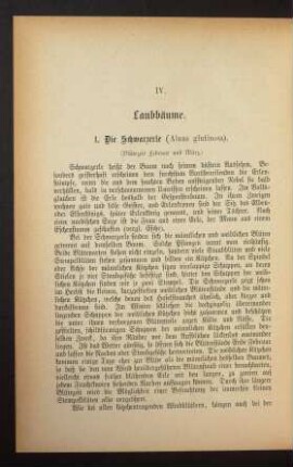 IV. Laubbäume.