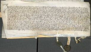 Worms (Domstift): Rudolf von Rüdesheim, Lehrer des geistlichen Rechts, und Jakob Daube bekunden, dass sie den Streit zwischen Peter von Wattenheim...