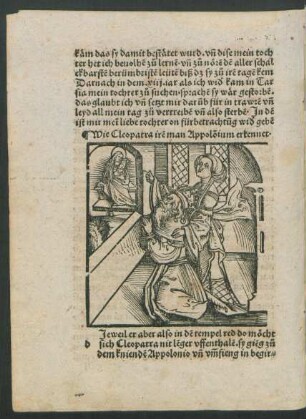 Wie Cleopatra iren man Appolonium erkennet.