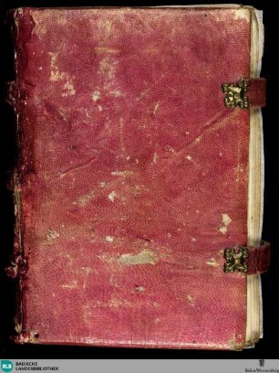 Sammelhandschrift - Cod. St. Peter perg. 113
