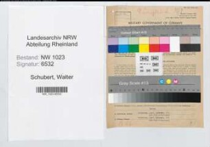 Entnazifizierung Walter Schubert , geb. 09.02.1904 (Verw.Sekretaer)