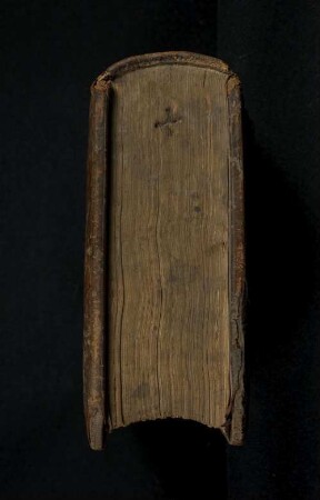 Sermones de tempore et de sanctis