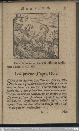 Leo, iuvenca, Capra, Ovis