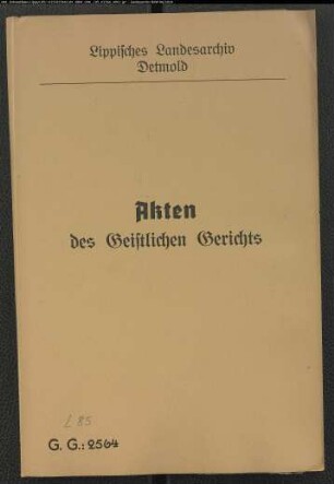 Anna Catharina Steinmeyer aus Lieme gegen Hanß (Johann) Cord Obermeyer (Overmeyer) zum Liemerturm, wegen einer Eheklage. Berufung gegen das Urteil des Konsistoriums Lemgo. Hans Cord Obermeyer war ein Halbbruder des zeitigen Meiers