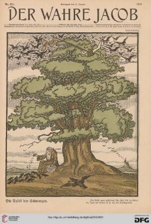 Nr. 691 (11. Januar 1913)