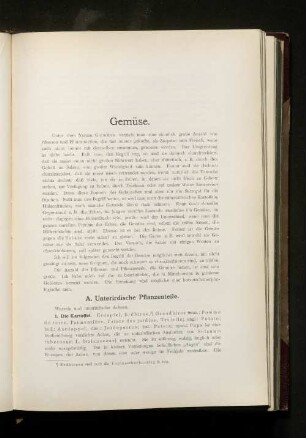 Gemüse.