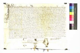 Zeugnis über die eheliche Geburt und über das Alter des Schweikhard von Holdingen