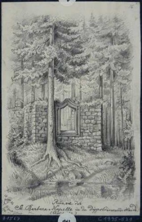 Ruine der St. Barbarakapelle in der Dippoldiswalder Heide