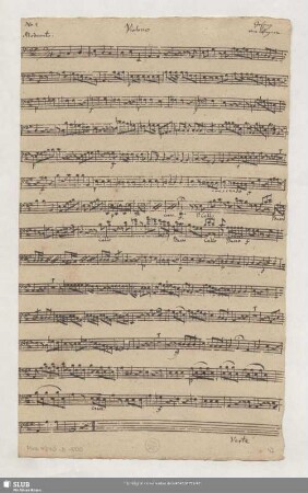 violono