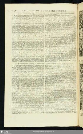 Explication de la XLV. & XLVI. Figure