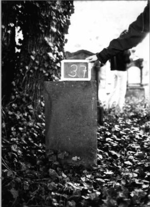 Grabstein 37