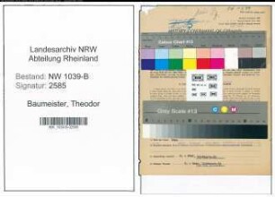 Entnazifizierung Theodor Baumeister , geb. 12.11.1895 (Angestellter)