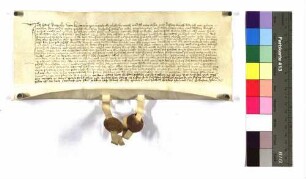 Hans Diepold von Bermaringen verkauft an seinen Vetter Pfaff Niklas Diepold, Bürger zu Ulm, die Hälfte seines Hauses mit Zubehör um 23 Pfund Heller.
