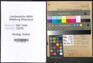 Entnazifizierung Walter Roebig , geb. 14.05.1904 (Kaufmaennischer Angestellter)