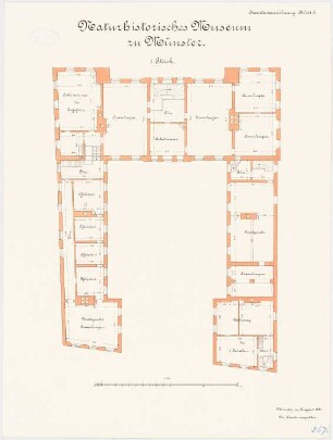 Universität Münster Naturhistorisches Museum: Grundriss Obergeschoss 1:100
