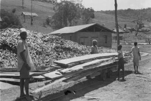 Sägewerk : Blick auf ein neu errichtetes Sägewerk in Shume