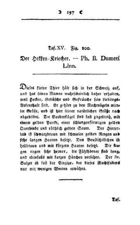 ¬Der¬ Hekken-Kriecher : Ph. B. Dumeti Linn ; Taf. XV, Fig. 100