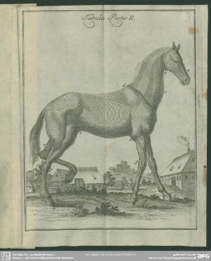 Tabula Partis II.