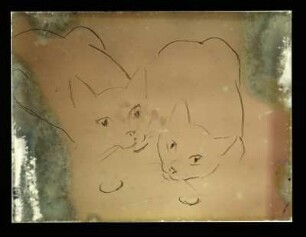Zwei Katzen : Zwei Katzen. Kohlezeichnung (vor 1945; E. Richter)