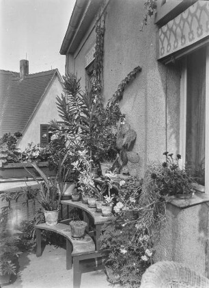 Pflanzentreppe auf dem Balkon : Eine Pflanzentreppe auf einem Balkon mit Kakteen