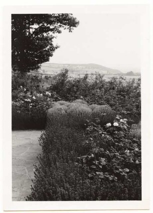 Garten Schindhelm, Kahla: Gartenplan