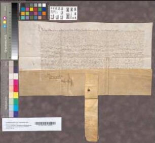 Verlof van Koning Filips voor Margriete van Borssele, Vrouwe van Brederode en Vianen, om van haar goederen te disponeeren, 17 September 1505. Perkament. Het zegel is afgevallen.