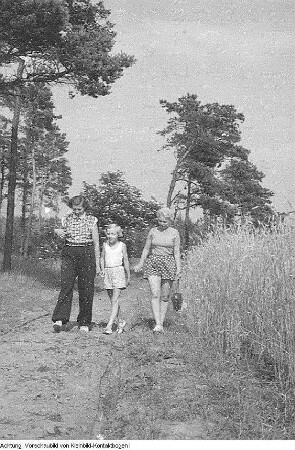 Dranske-Nonnevitz, Ostseeurlaub, Lagerfeuer, Holunder, 1955