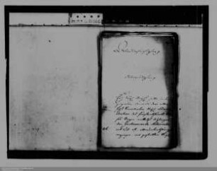 . Schwangerschaft der Fürstinwitwe Leopoldine von Nassau-Siegen: Band 3