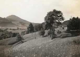 Nieder-Lichtenwalde (Dolní Světlá) . Südlich Waltersdorf, Umgebindehaus mit Strohdach