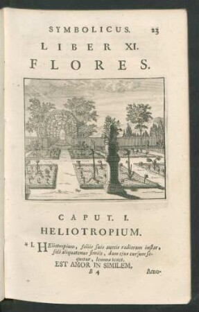 Liber XI. Flores.