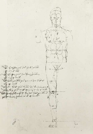 Mann von vorn ohne Arme und rechtes Bein mit Proportionslinien und Text : Dresdner Skizzenbuch (1507/1528). Mann von vorn ohne Arme und rechtes Bein mit Proportionslinien und Text (aus: R. Bruck: Das Skizzenbuch von Albrecht Dürer, Straßburg 1905, Tafel 48, Blatt 125 b, Str. 33, Kriegsverlust). Dresden: SLUB Mscr.Dresd.R.147.f