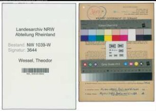 Entnazifizierung Theodor Wessel , geb. 17.11.1892 (Klempner)