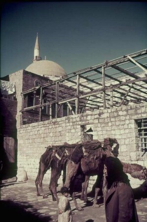 Reisefotos. Straßenszene mit angebundenen Kamelen. Blick auf die Kuppel einer Moschee