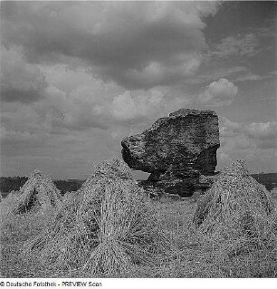 Felsen mit Namen Hundskopf zwischen Rathen und Thürmersdorf bei Weißig