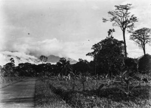 Straße zwischen Malabo und Luba : Blick auf eine Straße zwischen Malabo und Luba. Rechtsseitig sind junge Bananenpflanzungen zu erkennen.