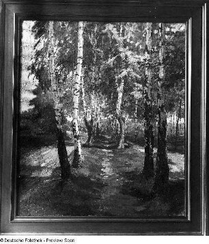 Birkenweg auf dem Heller. Öl, um 1930