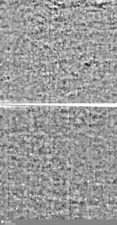 Lilienschild + IESV / LW = S.15/16+59/60