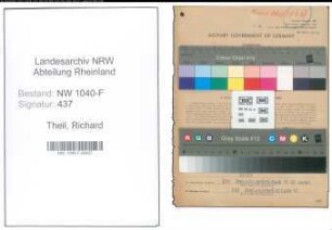 Entnazifizierung Richard Theil , geb. 03.07.1905 (Zollsekretaer)