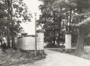 Tor, Kroppen