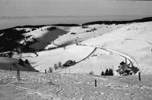 Schauinsland: Schauinsland, Halde (Hofsgrund) mit Blickrichtung gegen Rheintal; Vordergrund verschneite Tannen mit Vogesen