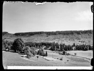 Geröllhang an der Heuscheuer