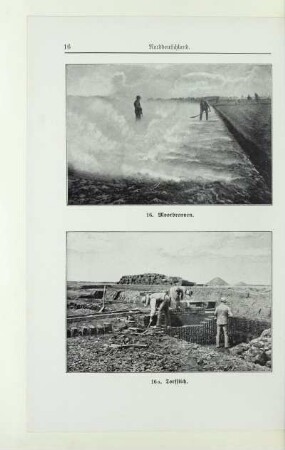 16a. Torfstich