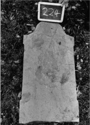 Grabstein 224 (Index: 100090569) Material: Sandstein Zustand: beschädigt Maße HxBxT: 100x47x0 cm Beschreibung: Stele, ausgezogener Konvexbogenabschluß: Grabstein 224
