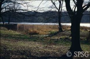 Potsdam, Park Sacrow, Römische Bank bei Frühjahrshochwasser.