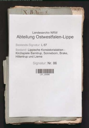 Einkünfte und Besitzungen des Pastors